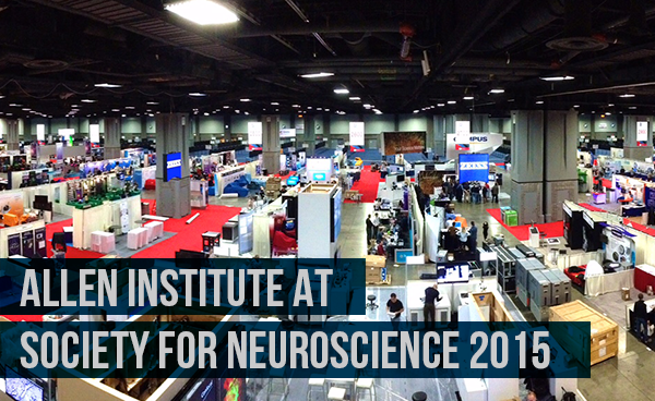 Allen Institute at Society for Neuroscience 2015