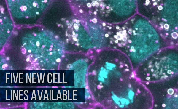 Cell Science News October 2017