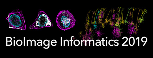 BioImage Informatics 2019