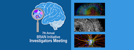 2021 BRAIN Initiative Investigators Meeting