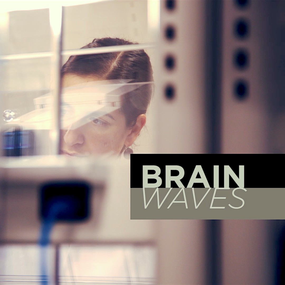 Brain Waves genes cell types