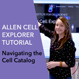 Allen Cell Explorer Tutorial: Navigating the Cell Catalog