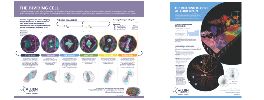 NeuroFutures 2019