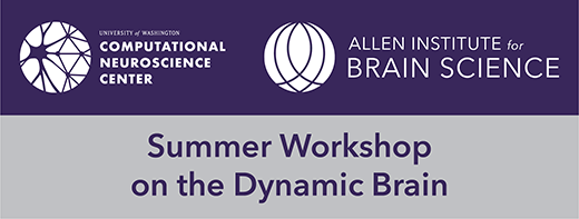 Summer Workshop on the Dynamic Brain 2019