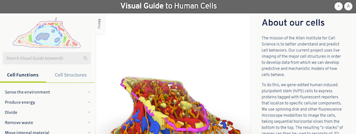 Visual Guide to Human Cells