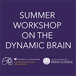 Summer Workshop on the Dynamic Brain