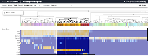 New Patch-seq data and more in latest data release