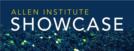 Showcase Symposium talks online