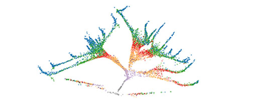 Computational challenge to help developmental biology